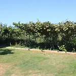 Basanija 7149c Savudrija