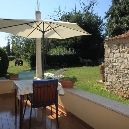 Basanija 7149c סבודרייה