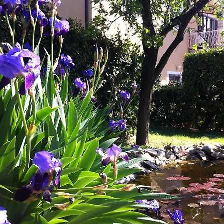 דירה Basanija 7149c