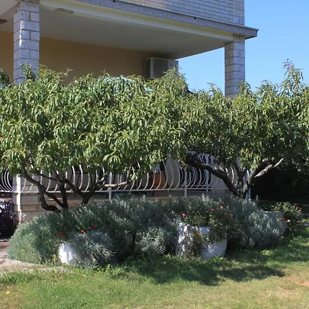 Basanija 7149c דירה