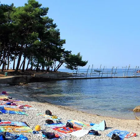 Basanija 7149c Savudrija