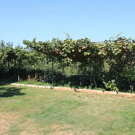 Basanija 7149c Savudrija