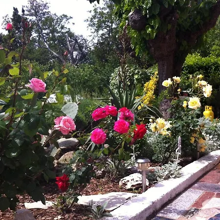 Basanija 7149c Appartement Savudrija