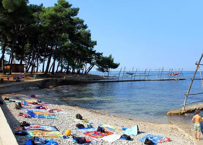 Basanija 7149c 萨武德里亚